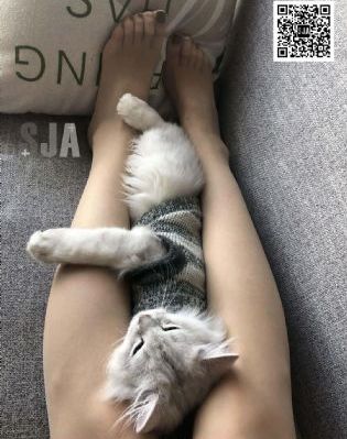 漫步云端