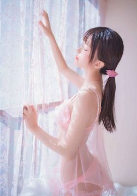 黑狐之风影电视剧