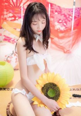1—40集免费看全集