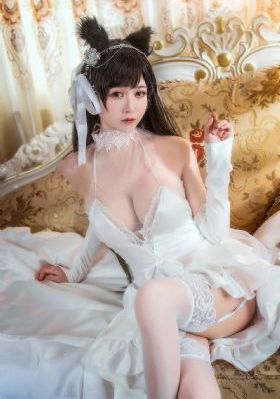 在线高清视频大全